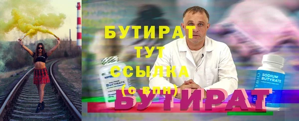 индика Ельня