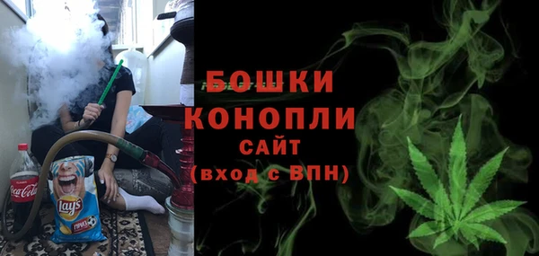 индика Ельня