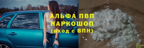 индика Ельня