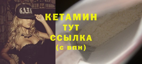индика Ельня