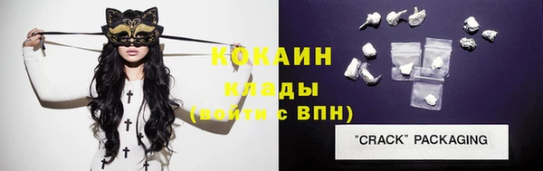 индика Ельня