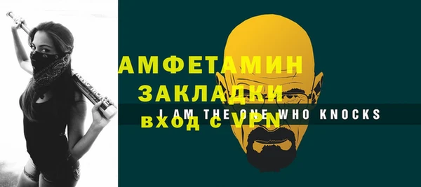 индика Ельня