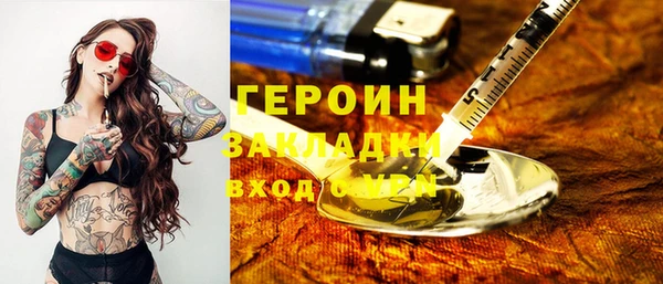 индика Ельня