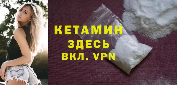 индика Ельня