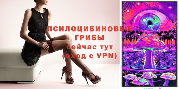 индика Ельня