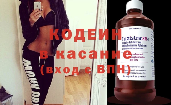 индика Ельня