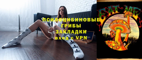 mix Елабуга