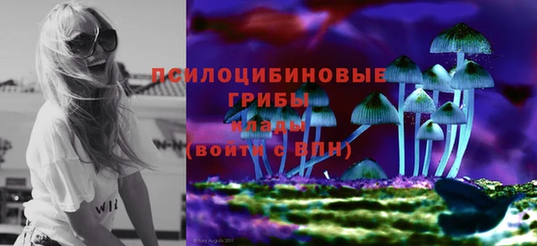 mix Елабуга