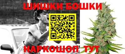 индика Гусиноозёрск
