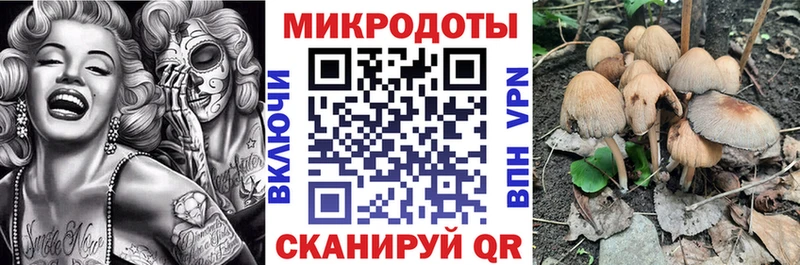 хочу наркоту  Новый Уренгой  Галлюциногенные грибы мухоморы 