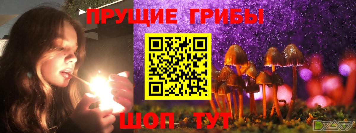 Псилоцибиновые грибы Magic Shrooms Новый Уренгой